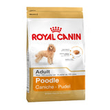 Thức ăn chó Royal Canin